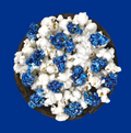Blue Team 🏀 🏈 ⚾️ 🏒 ⚽️ Gourmet Popcorn