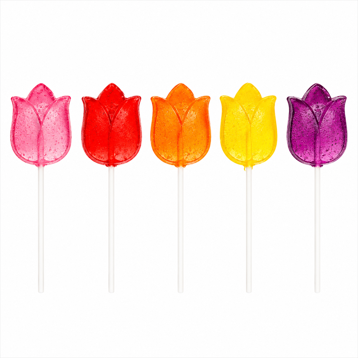 Lollipop - Big Tulip