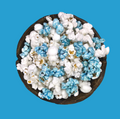 Light Blue Team 🏀 🏈 ⚾️ 🏒 ⚽️ Gourmet Popcorn