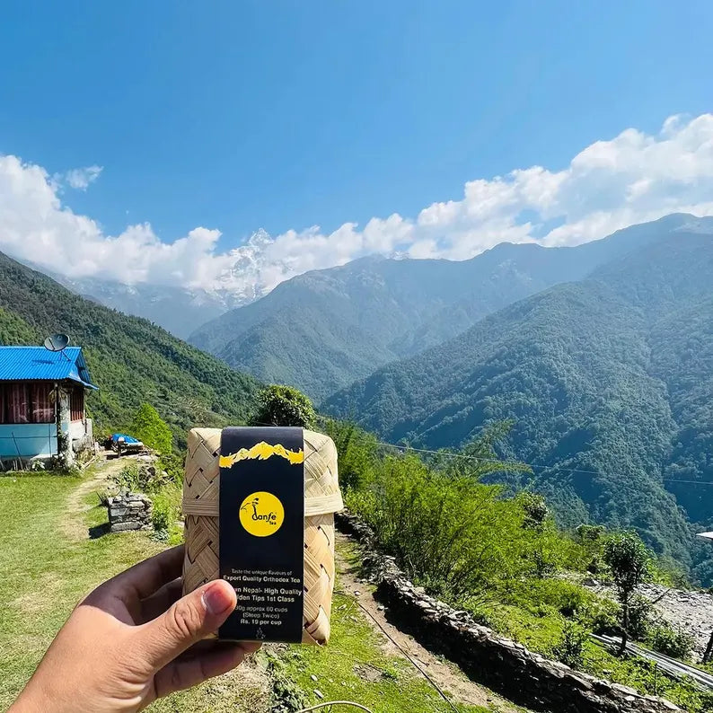 39° Mango Moringa Tea (Caffeine-Free Superfood Herbal Tea)