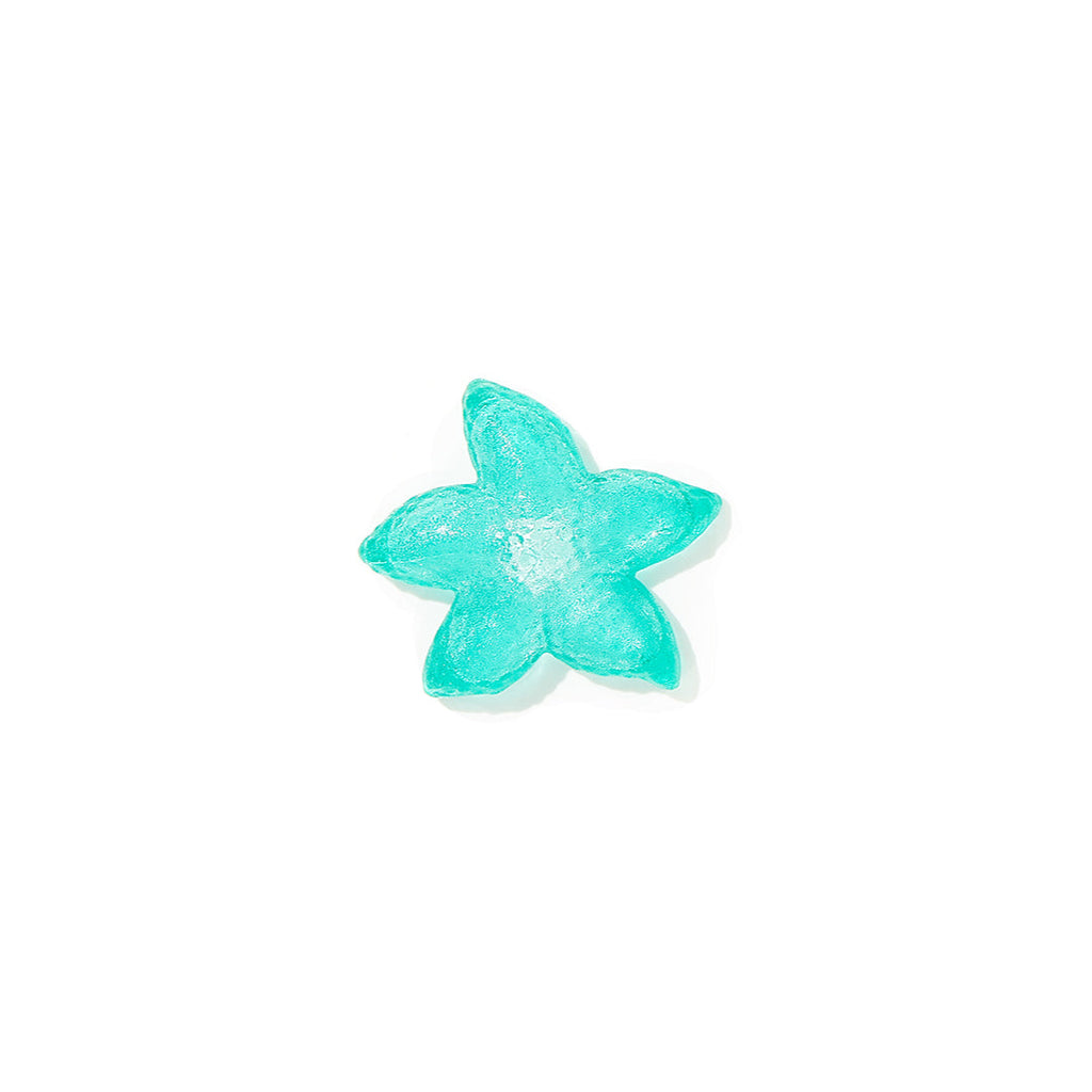 Hollow - Smash Starfish