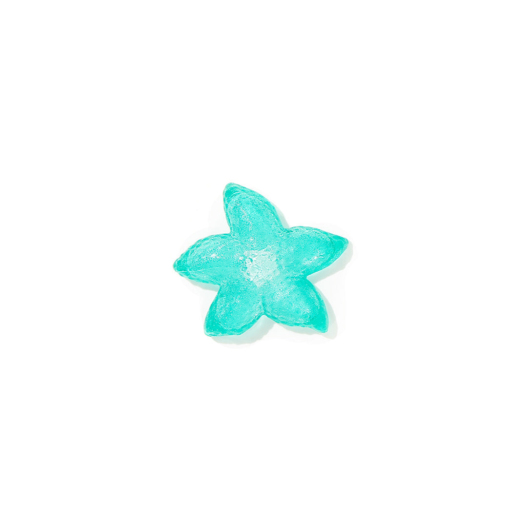 Hollow - Smash Starfish
